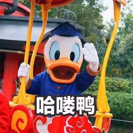 娱乐吃瓜君鸭,揭秘娱乐圈那些不为人知的幕后故事