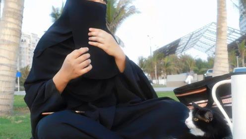 娱乐吃瓜君的号,娱乐圈幕后那些事儿